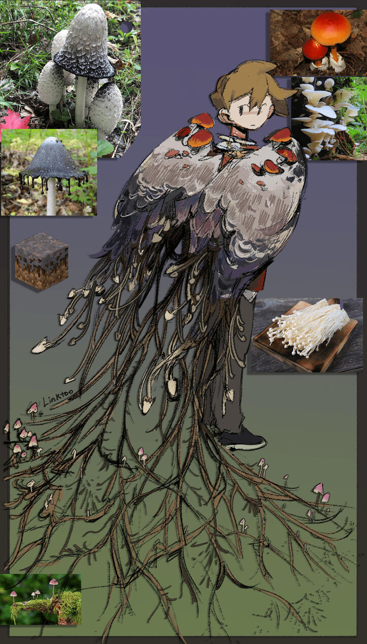 Mycelium Mycelium